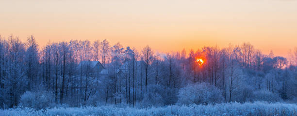 the beautiful winter rural landscape stock photo