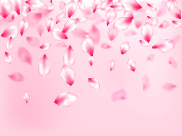 istock Japanese cherry blossom pink flying petals 1192260298
