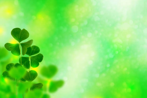 istock green clover leaves 1192261892
