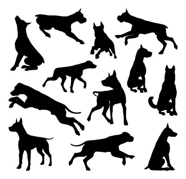 hund silhouetten tier set - dog malamute sled dog bulldog stock-grafiken, -clipart, -cartoons und -symbole