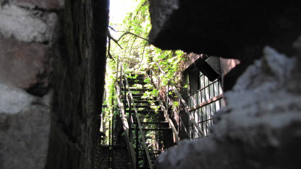 istock Old Stairway in Nature 1192267267