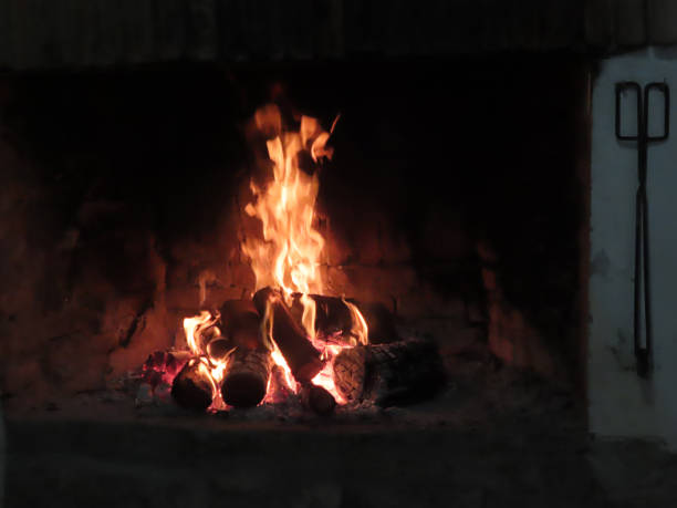 Burning Fireplace with Wooden Logs in Home Ambience.