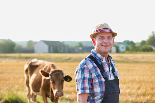 Agricultor maduro de pie contra la vaca en el campo photo