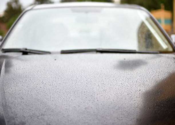 istock Drops on car hood 1192269017