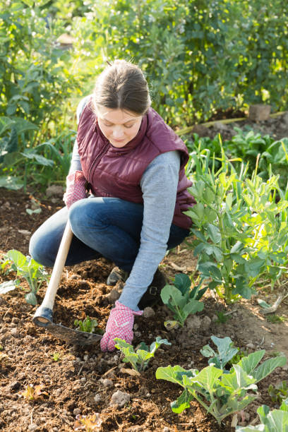 istock Woman working with hoe 1192273138