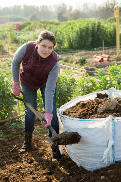 istock Female spreading compost fertilizer 1192273141