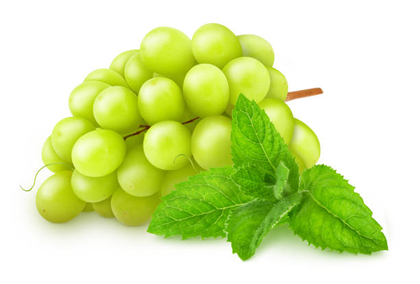 Composition with white juicy grape and sprig of mint isolated on a white background with clipping path.