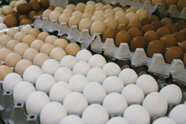 istock Fresh chicken eggs on food market. 1192276474