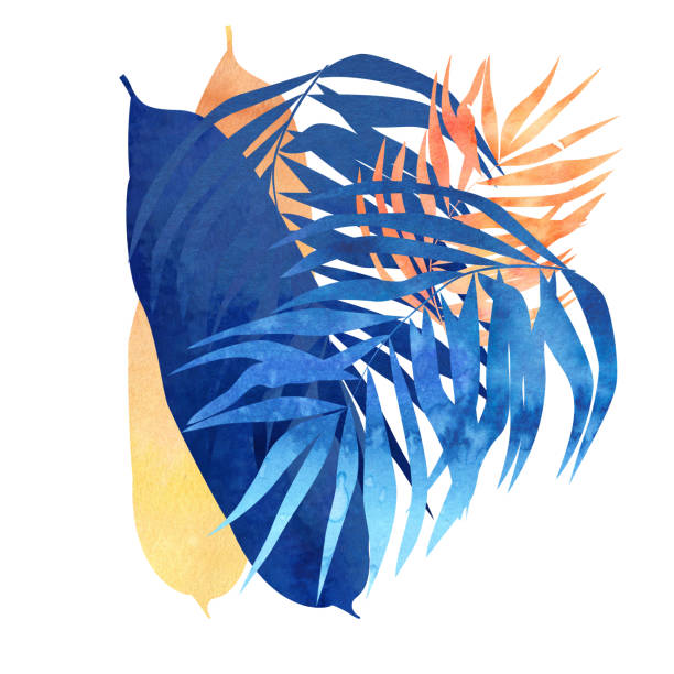 ilustraciones, imágenes clip art, dibujos animados e iconos de stock de aislado en la imagen blanca de las hojas tropicales de acuarela azul y naranja - peach dark peaches backgrounds