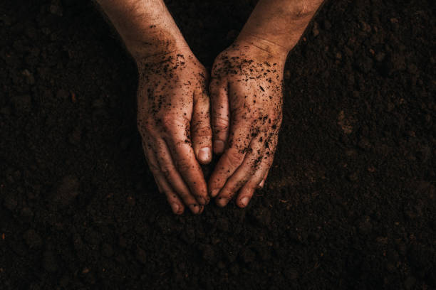 istock partial view of dirty farmer hands on ground 1192277773