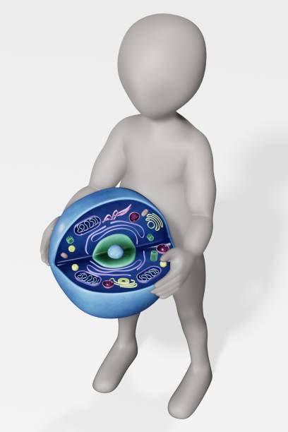 istock 3D Render of Character with Human Cell 1192279386