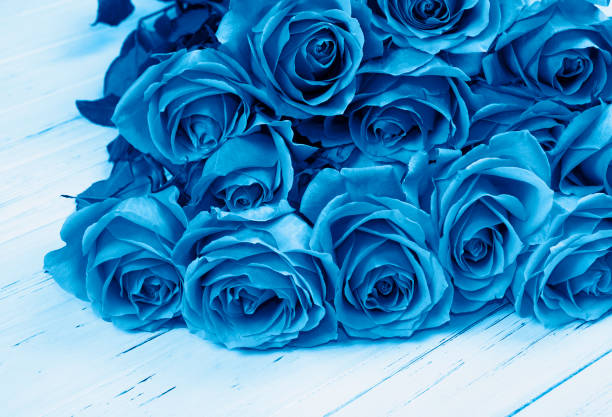 Blue colored  roses bouquet on  wooden background. Trendy  color of the year 2020 concept.