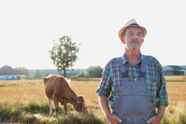istock Senior farmer standing against cow in field 1192285142