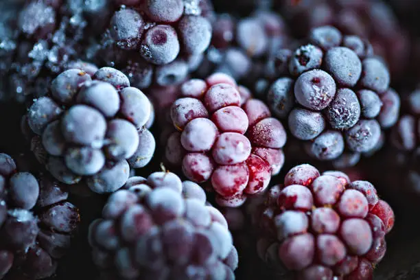 Photo of Frozen blackberries on a wooden table. Horizontal. Top view.