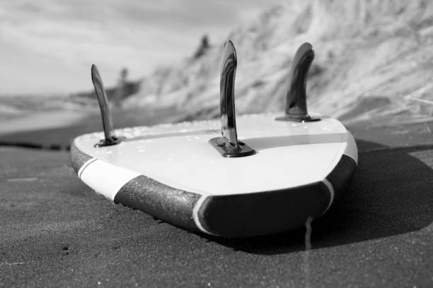 istock A monochromatic sup board is lying on the sand close-up 1192289425