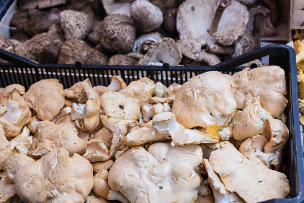 istock Mushrooms in Boxes on Market 1192292047