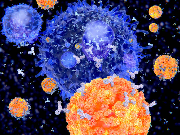 le cellule plasmatiche (cellule b) segregano anticorpi specifici per contrassegnare un virus successivamente distrutto (virus influenzali). - influenza a virus foto e immagini stock