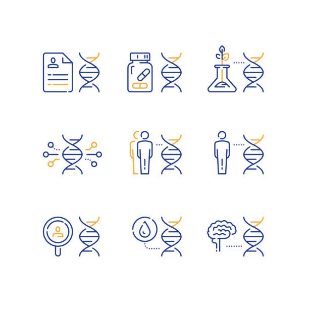 Genetics concept, science research, glass tube bio sample growth, human brain and DNA Genetics concept, science research, glass tube bio sample growth, human brain and DNA, data and analysis, vector line icon set genetics icon stock illustrations