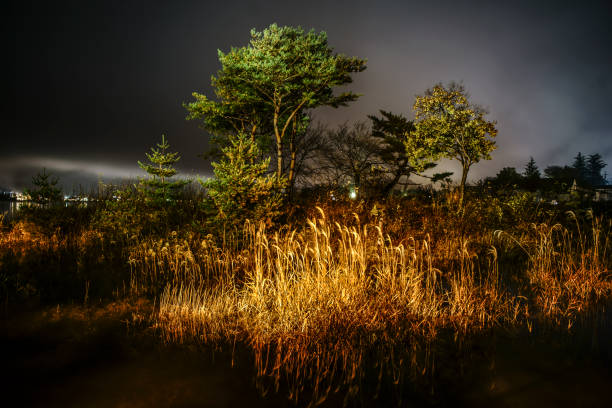 digital photography