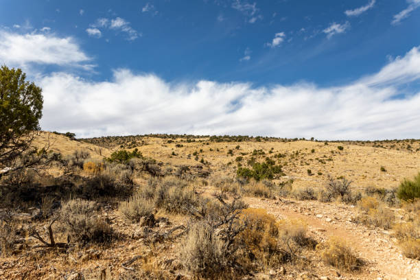 istock Landscape near Kanab, Utah 1192301107