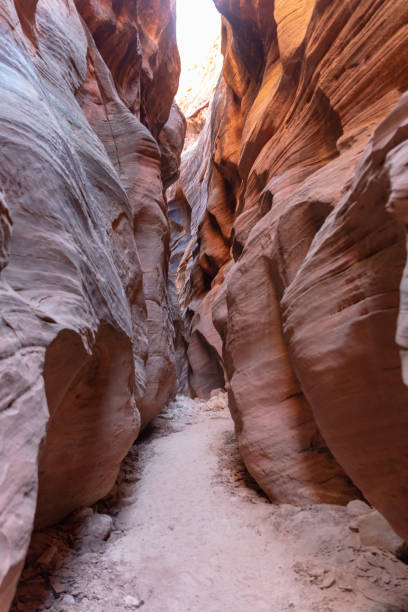 istock Slot Canyons in Buckskin Gulch 1192301134