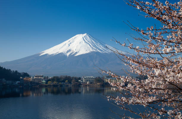 istock Beautiful cherry blossoms with Mount Fuji 1192302511