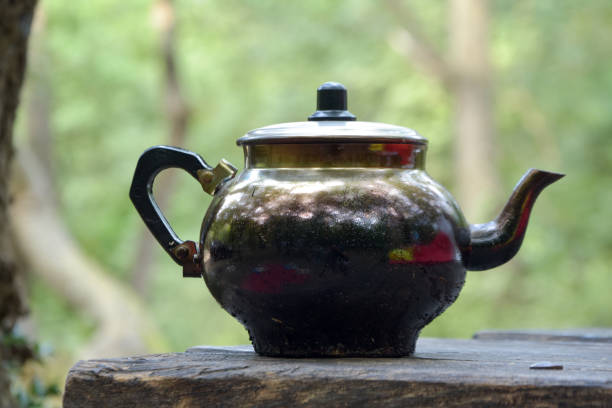 istock Teapot on wood fire at the camping site . 1192305271