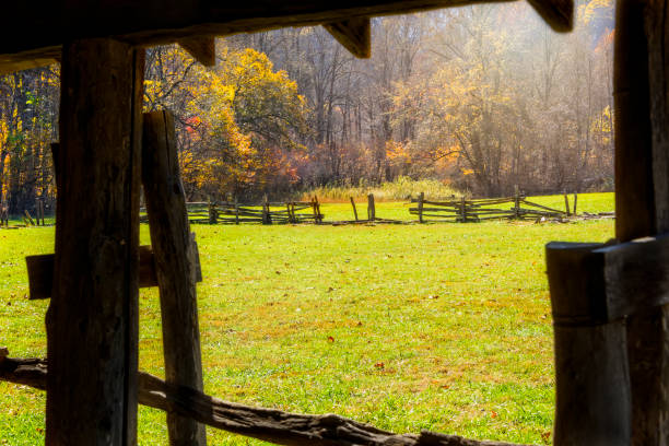 Autumn Landscape in Field