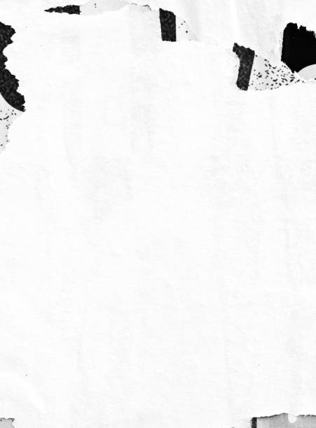 istock Blank white black old ripped torn paper crumpled creased posters grunge textures backdrop backgrounds placard 1192306697