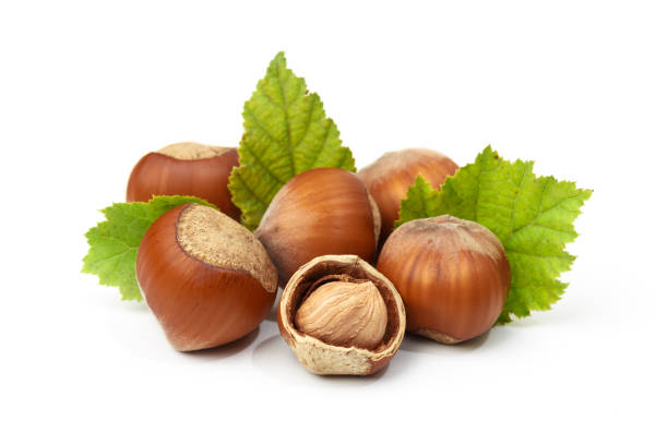 istock Hazelnuts with leaves isolated on a white background 1192306977