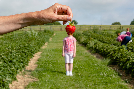 An unrecognizable person holding a strawberry in front of a girls face standing in the distance, they are pretending the strawberry is her head.