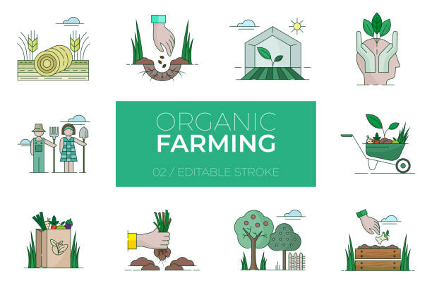 유기 농업 색상 아이콘의 집합 - 현대 아이콘 - farm fruit vegetable orchard stock illustrations