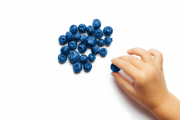 Ripe blueberries in a child's hand