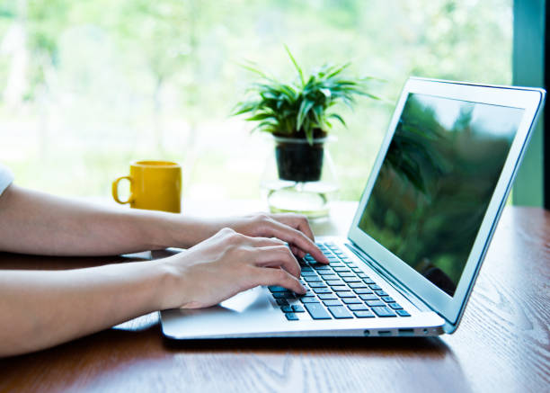 istock Woman hand typing on a laptop in restaurant 1192310850