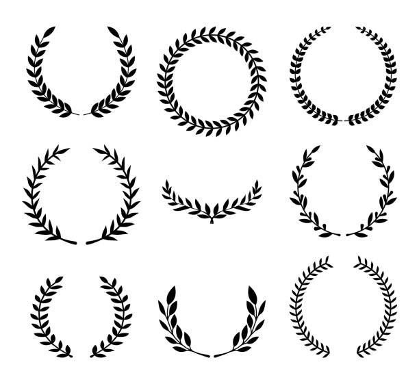 ilustrações, clipart, desenhos animados e ícones de jogo de várias grinaldas do louro. prêmio, conquista, vitória. ilustração do vetor em um fundo branco. - wreath