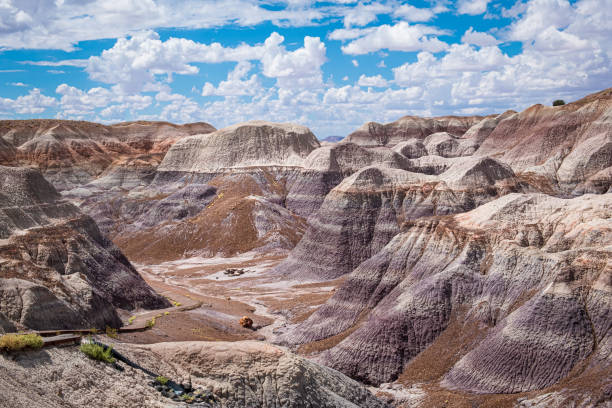 ブルーメサトレイル沿いの風光明媚な谷 - 石化森林国立公園 - petrified forest national park ストックフォトと画像