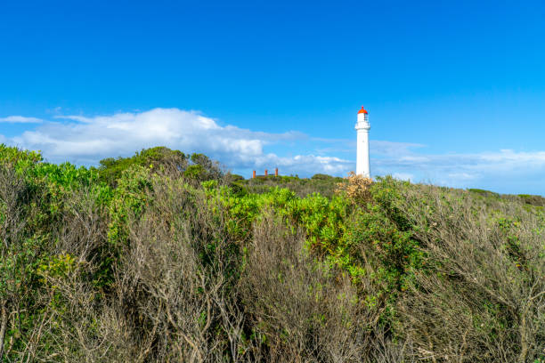 istock Split Point Lighthouse is a lighthouse close to Aireys Inlet 1192313235
