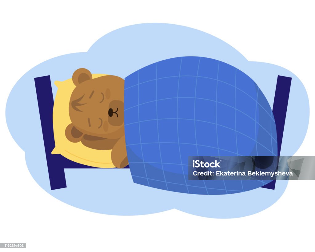 Ilustración de El Oso Duerme En La Cama Lindo Divertido Personaje De  Dibujos Animados Sobre Fondo Blanco y más Vectores Libres de Derechos de  Hibernación - iStock