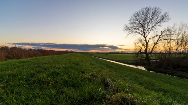 istock Sunset over grassy levee in The Netherlands 1192316358