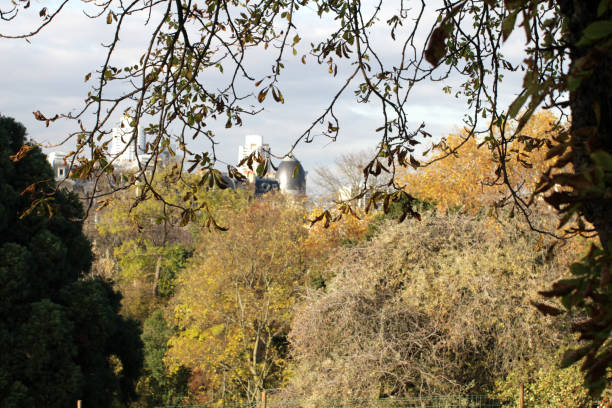 istock Nature in city. Fall foliage and trees in Paris park 1192319983