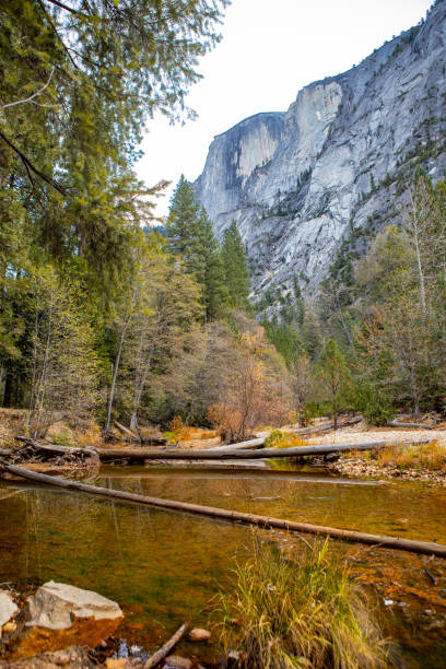 istock Tenaya Creek Yosemite Valley 1192320018