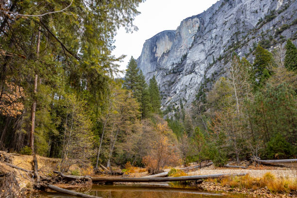 istock Tenaya Creek Yosemite Valley 1192320066