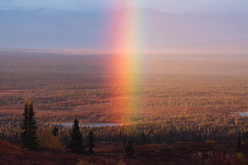 Rainbow over Alaska forest in autumn colors during sunset