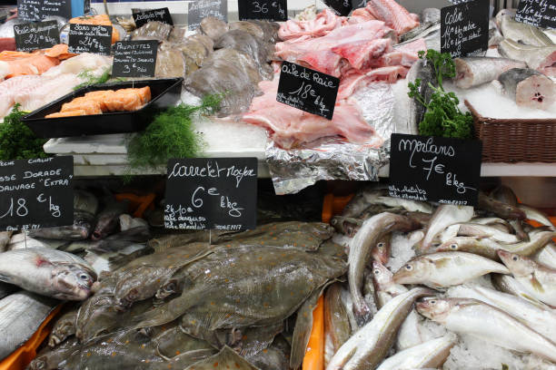 istock Raw frozen fish at fish market 1192329094