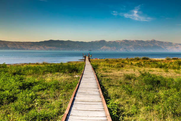 Elevated wood plank walkway protects the vegatation along the approach to Mono Lake.