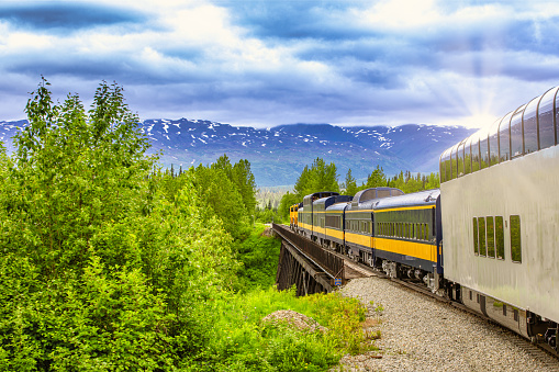 Train going on a railroad track to Denali National Park Alaska