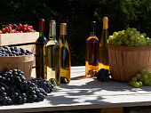 A garden shot of red green and blue grapes outside in baskets in the sunshine with bottles of red and white wine