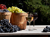 A garden shot of red green and blue grapes outside in baskets in the sunshine with glasses of red and white wine