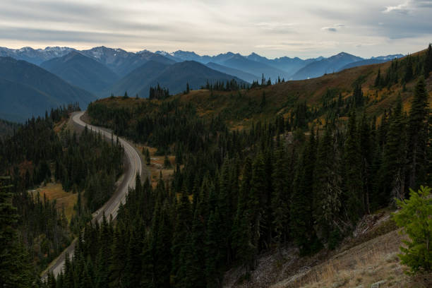 istock Road to Hurricane Ridge with Mountains Behind 1192334721