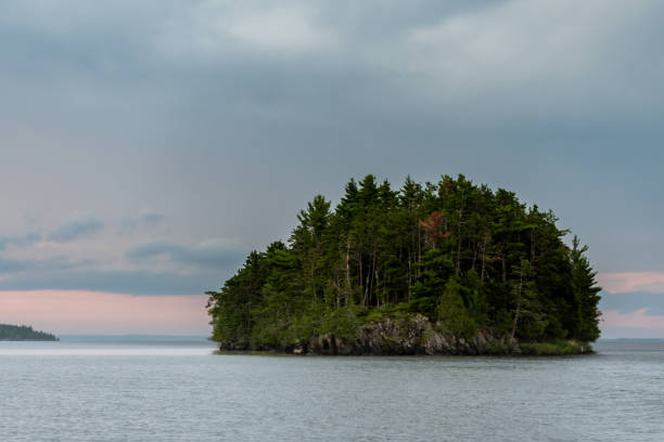 istock Single Island Covered in Thick Woods 1192335751